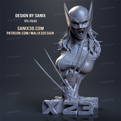 X - 23  Büste