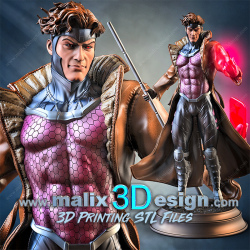 GAMBIT